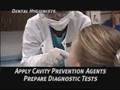 Dental Hygienists, Dental Hygiene Program