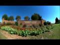videos de Economic Zones World Presentation Video