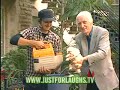 Just For Laugh - Balcony dog