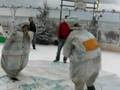 videos de Sumo worstelen