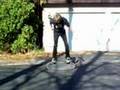 Shux Skate Team part II