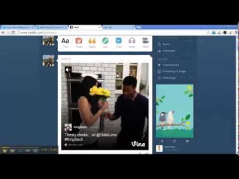 how to share vine videos