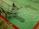 Swimming Lessons