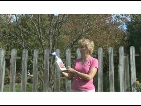 how to eliminate oleander caterpillars