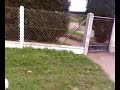 ca c'est du chien
