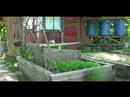 See More Green Collective Garden (hi-res) See More Green Collective Garden (hi-res)