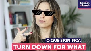 O que significa TURN DOWN FOR WHAT?