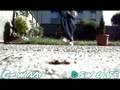 STREET WALKER//C-waay//www.cwalklife.com