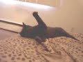 Feet attack !