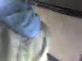 videos de maraþonhlaupari
