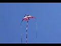 Professional Kite Flyer  Ray Bethell (Three Kites)
