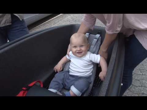 Kinderanhänger: Darauf muss man beim Kauf achten