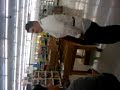 Lil Arabs funny stl worker gettin tazed