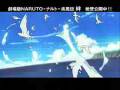 videos de naruto shippuden del caribe