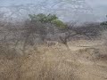 Quick tour of oromia