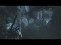 Paladin - Forest Vista Test