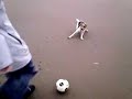 Hartley Pellipar on Crosby Beach