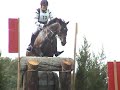 A Million Dollar Horse ...