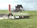 A Million Dollar Horse ...
