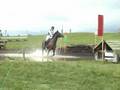 A Million Dollar Horse ...