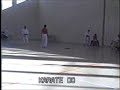 karate do combate completo