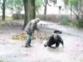 Gwiazdy ta?cz? na lodzie Gwiazdy ta?cz? na lodzie