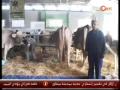 Ouverture du 10ème salon de lagricuture à Tunis