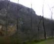 Ordu/Çatalpınar Fatsa Yolu