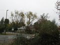 snow in esparto california