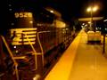 videos de NS 25K tiptoes through the Park