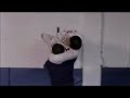 jiu jitsu  mma    vs   bodybuilder