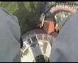 Heide Park Soltau, Scream Onride Video