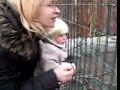 Zoopark Zoopark