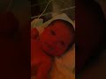 Jaime junior