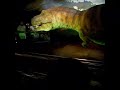 Leo and the T-Rex