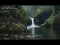 Hidden Tiger, Crouching Vista  .mov