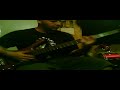 Warwick Bass Slap