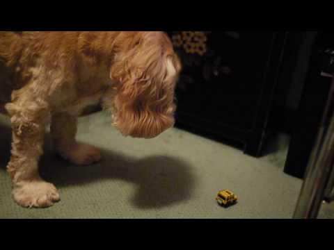 See video