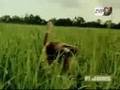 Beyoncé (Ft Jay-Z) - Deja Vu (Freemasons Mix)