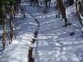 Snow Bike 2 La vendetta (della neve !!)