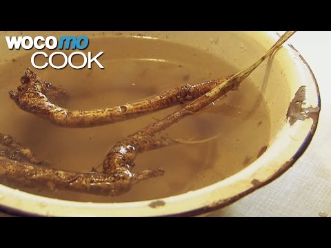 Hustensaft aus Himmelpforten - natürliche Heilkraft aus Eibisch und Kräutern