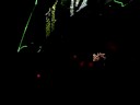 Lights bouncing around the room