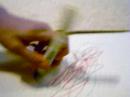 bob draws a pony