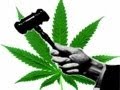 Ontario vs. Marijuana Laws Continued - YouTube
