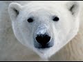 Incalzirea globala - pericol iminent
