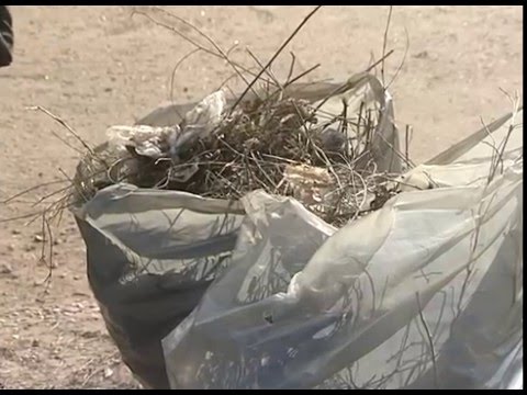 Просмотр видео