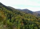 Colori d'autunno nel Parco Foreste Casentinesi