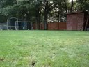 amazing goal amazing goal