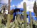 Moroccan Adventures: Les Jardins de Majorelle
