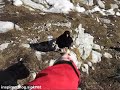 Birds eating from the hand